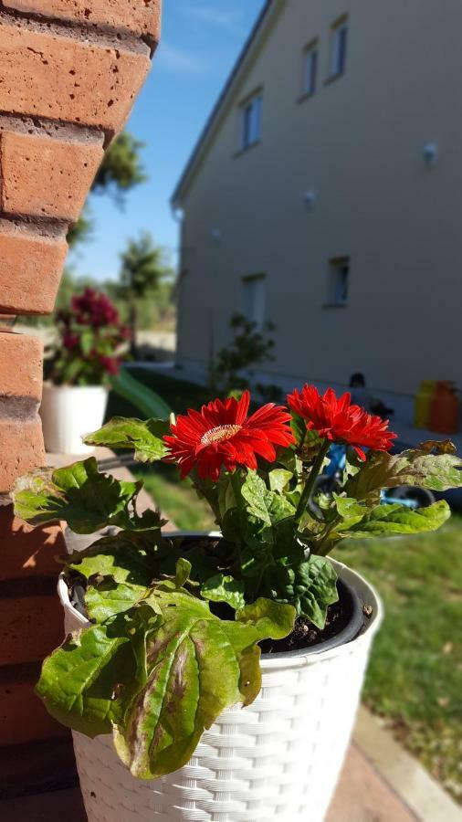 Apartmani "Sandro" Gonar Rab Town Kültér fotó