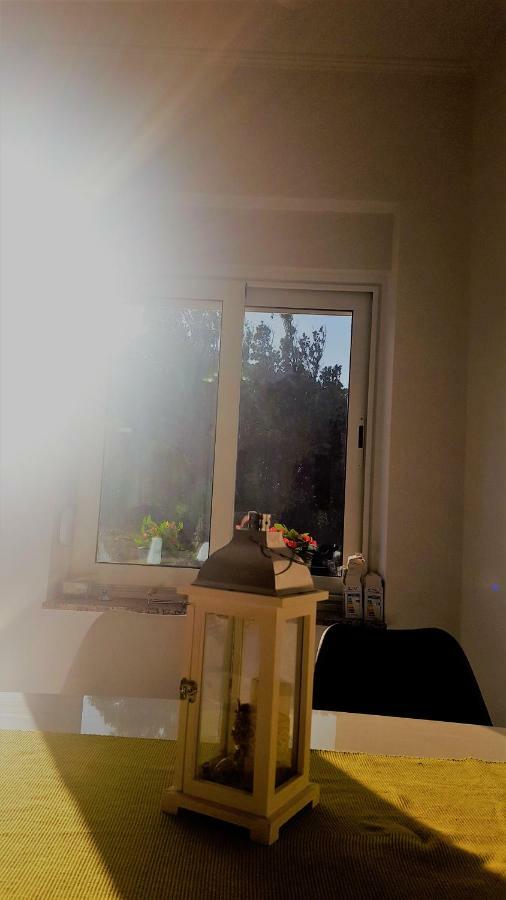 Apartmani "Sandro" Gonar Rab Town Kültér fotó