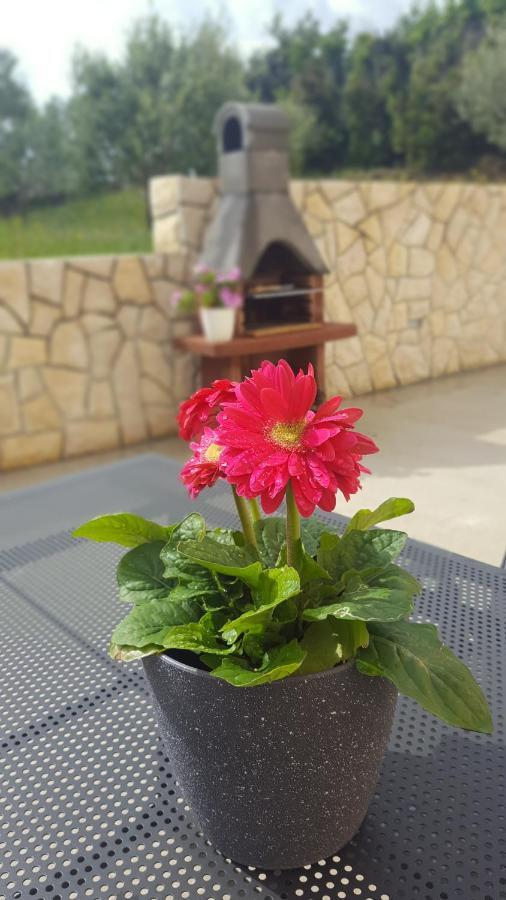 Apartmani "Sandro" Gonar Rab Town Kültér fotó